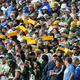 Illustration for article titled Why Your Team Sucks 2014: Green Bay Packers